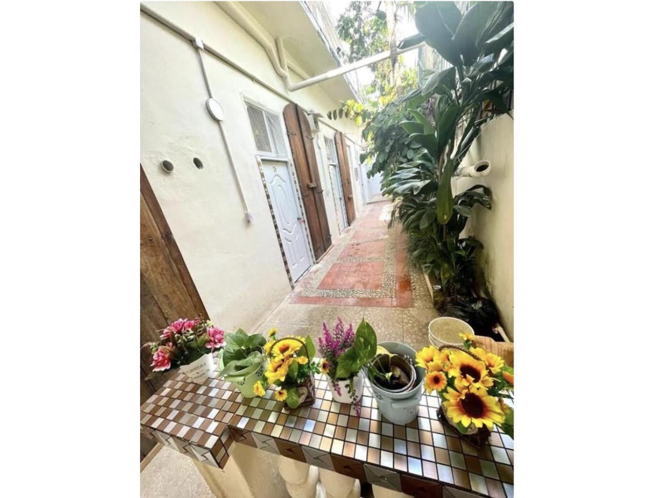Hostel El Espanol サントドミンゴ エクステリア 写真